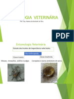 Aula 8 - Introdução Entomologia Carrapatos e Ácaros