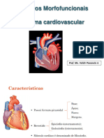 Aspectos Morfofuncionais - Sistema Cardiovascular - Vet
