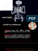 Anatomiaparatanatopraxia1 230130181406 3ba2e867