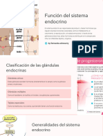 Funcion Del Sistema Endocrino