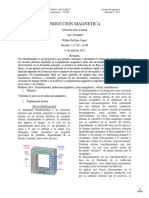 Induccion Magnetica