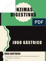 Enzimas Digestivas U3