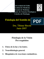 Fisiologia de la vista