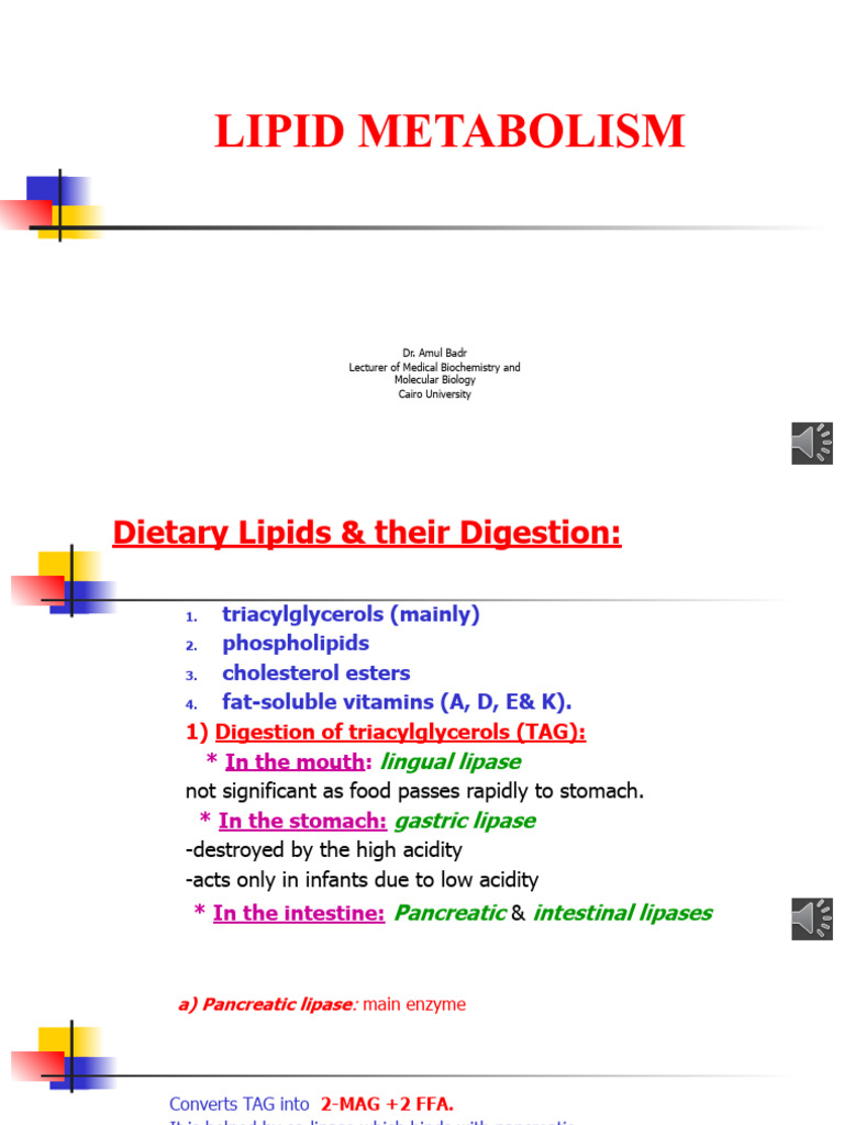 Lipid Metabolism Overview by Dr. Badr | PDF | Cholesterol | Ketosis