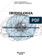 Iridologia - Dificuldades de Aprendizagem - Celso Battello