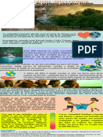 Infografia Cambio Climatico Ilustrado Azul Turquesa