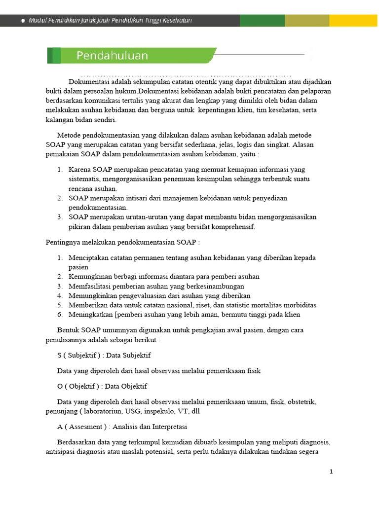 Contoh Pendokumentasian SOAP Kebidanan | PDF