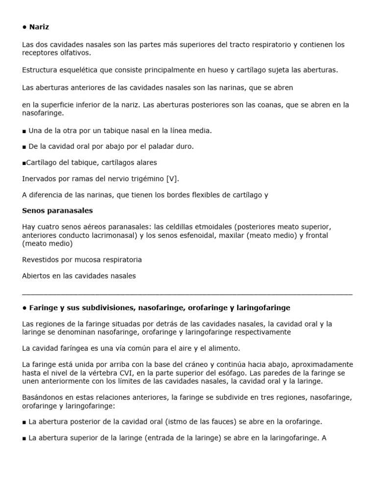 Anatomia Sistema Respiratorio Pdf Pulmón Nariz Humana