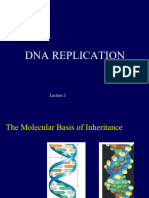 DNA Replication Lecture 2