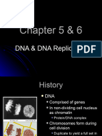 Chapter 5 & 6 - DNA & DNA Replication