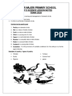 P - 5 SCIENCE LESSON NOTES Term 1 2020