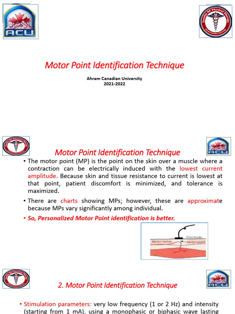 Motor Point Identification Techniques Explained | PDF
