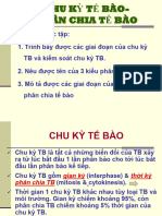 Bài 8 PHÂN BÀO