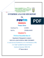 Paytm Mini Report1