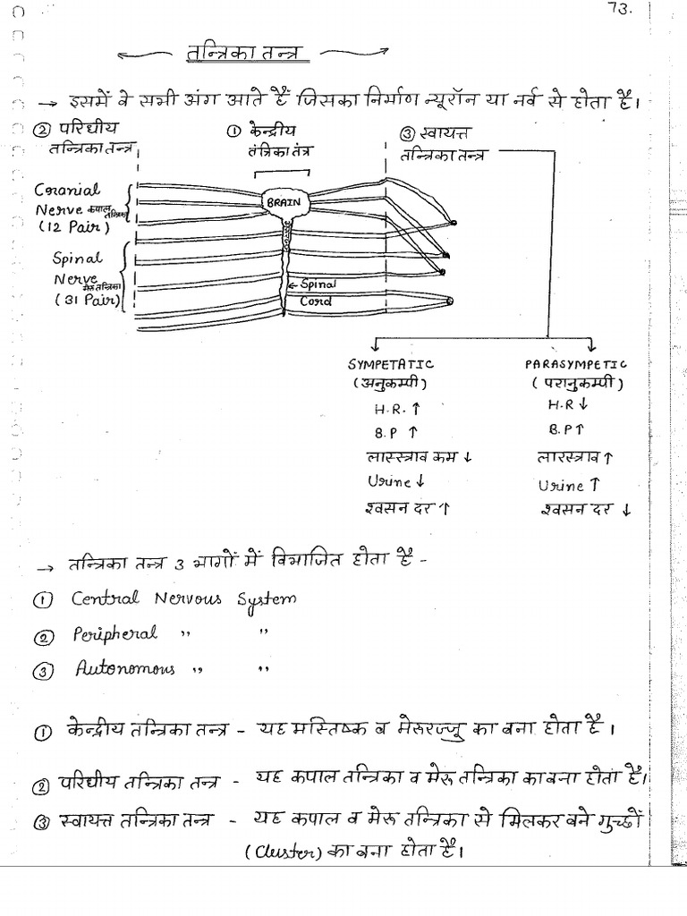 Class Notes 3 | PDF