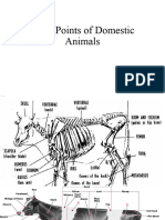 1 - Practical Body Points of Domestic Animals