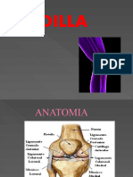 Clase 5 Rodilla Artroscopia y Ligamento II