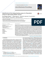 2016 Identification of The Minimal Binding Region of A Plasmodium Falciparum IgM Binding PfEMP1 Domain