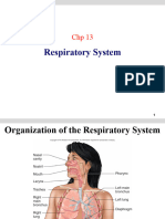 Bio 215 Topic 7 Respiratory