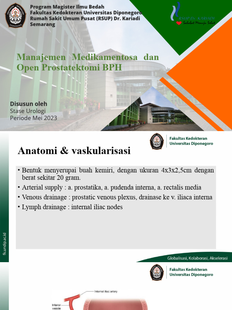 Manajemen BPH dan Prostatektomi | PDF