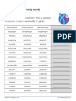 Grade 5 Spelling Challenge 3