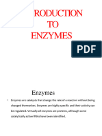 Enzyme Introduction