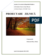 Proiectare Zilnică Văratic