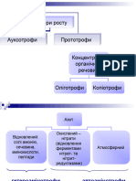 Мікробний Синтез Амінокислот