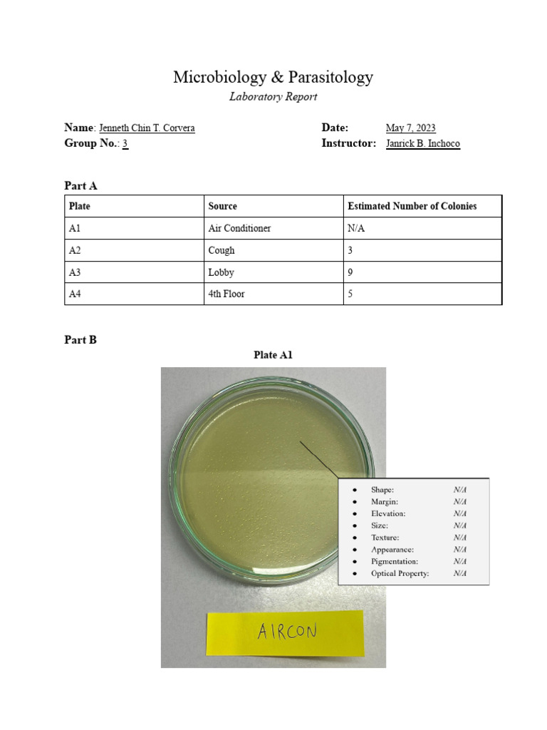 Bacterial Culture Analysis Report | PDF | Microorganism | Fungus