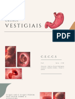 Órgãos Vestigiais - 20231110 - 074744 - 0000