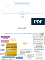 Mapa Mental Desarrollo Evolutivo.