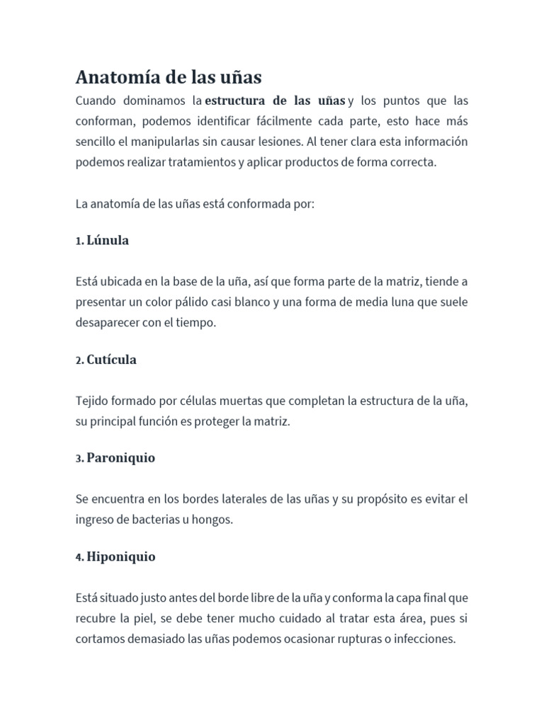 Anatomía de Las Uñas | PDF