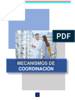 Consultoria Mecanismo de Coordinación