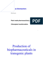 L20-21: Plants As Bioreactors: Biofuels