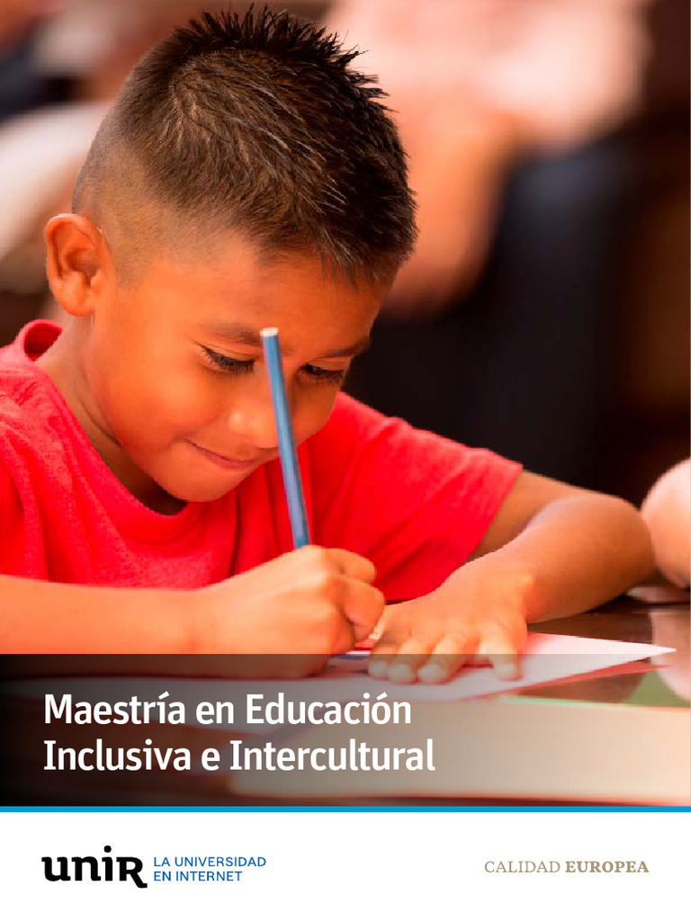 Maestría en Educación Inclusiva Online | PDF | Plan de estudios | Enseñando