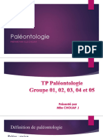 TP1 Paléontologie L2 GEO21