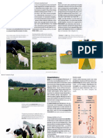 Cópia de Cow Signals, A Practical Guide For Dairy Farm Management-2