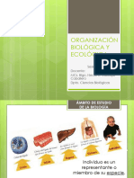 T3 - Organización Biológica y Ecológica