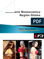 Biomecanica Gluteo CFD