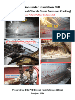 Corrosion Under Insulation CUI