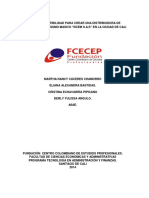 Estudio de Factibilidad para Crear Una Distribuidora de Productos de Consumo Masivo Decem S.A.S