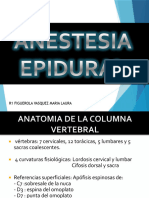 Anestesia Epidural MLFV