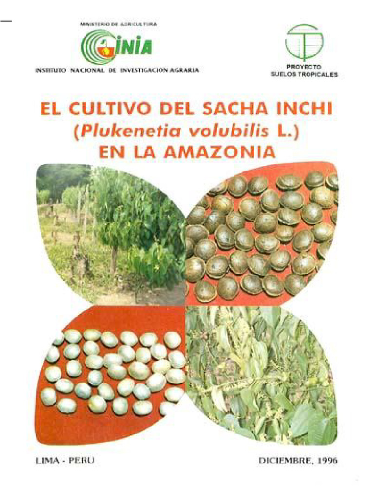 El Cultivo de Sacha Inchi en La Amazonia | PDF | Agricultura | Suelo