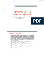 Anatomy of Special Senses Notes