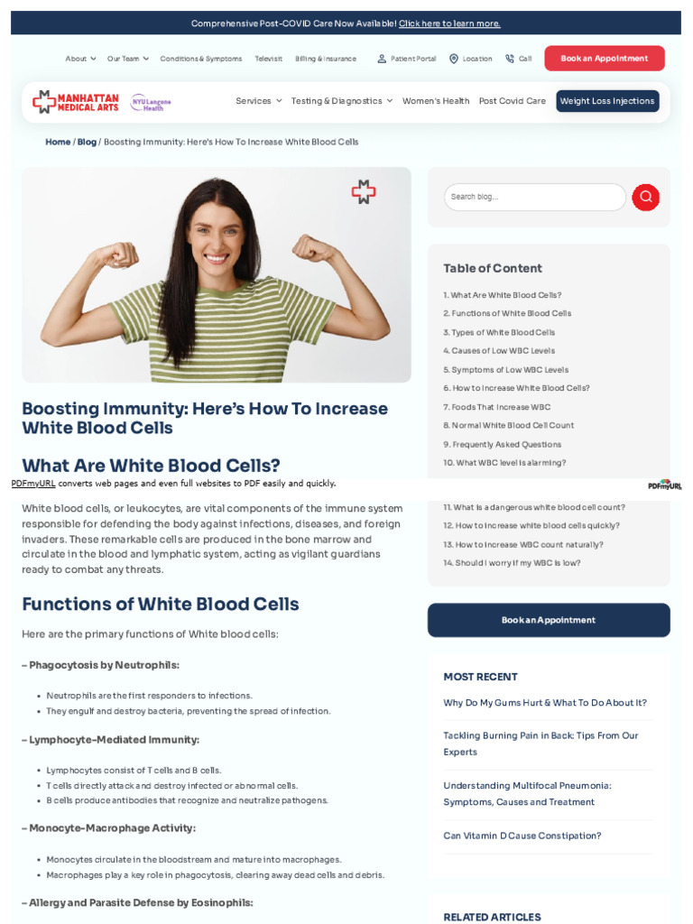 Boosting White Blood Cell Levels Guide PDF White Blood Cell Allergy