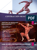 Contracción Muscular