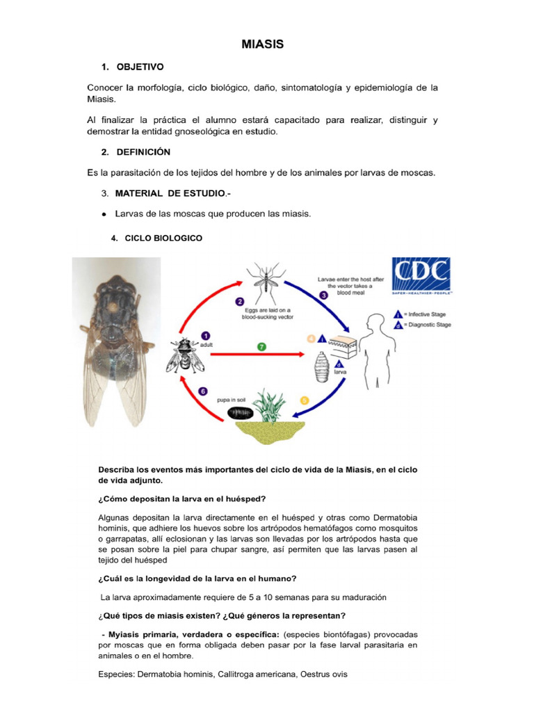 Miasis | PDF