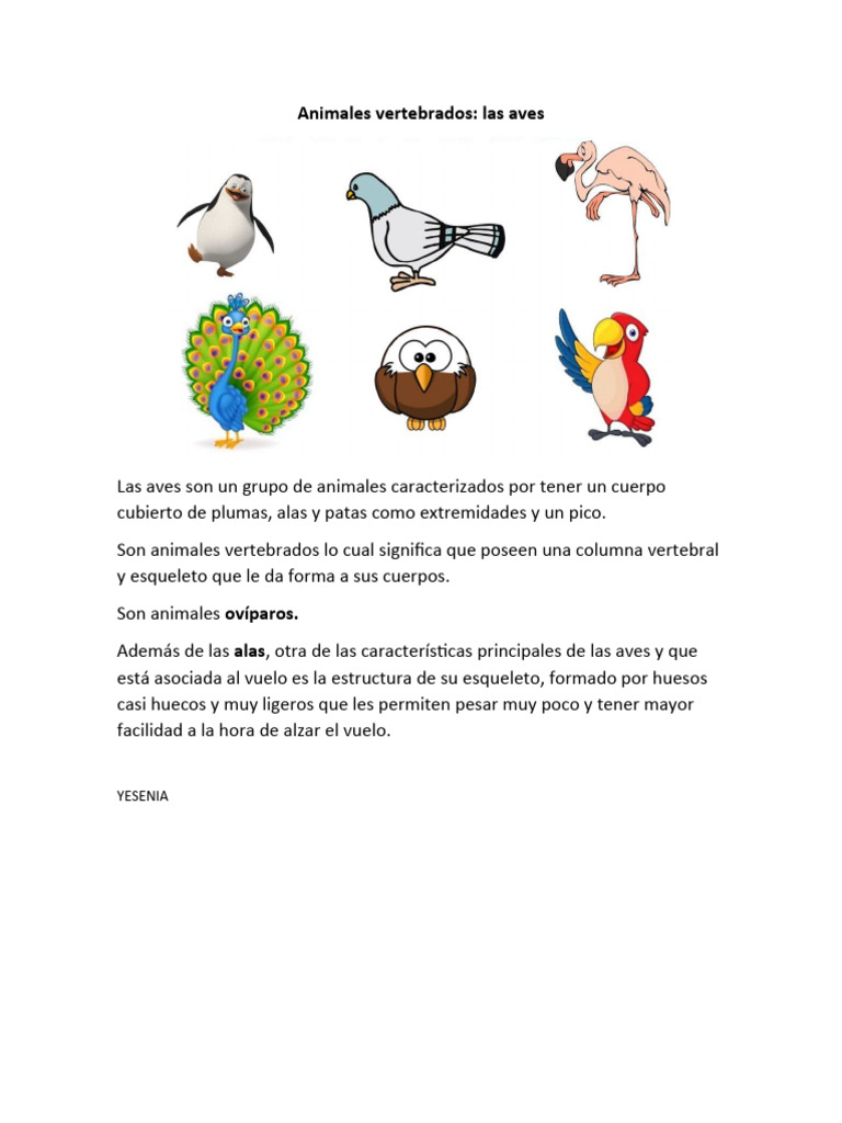 Animales Vertebrados - Aves | PDF, image size:768x1024