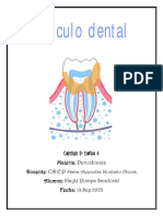 Cálculo Dental