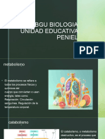 3º Bgu Biologia 23-01-2024